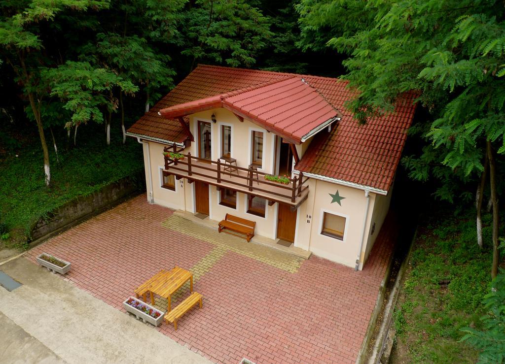 Arsenal Park Transilvania
