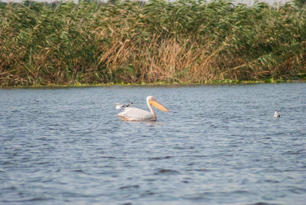 Delta Nature Resort