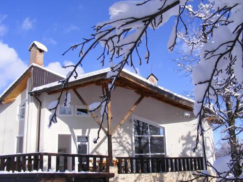 Vila Carpathia