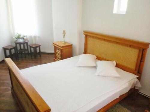 Vila Carpathia