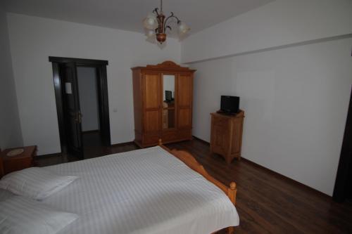 Vila Carpathia