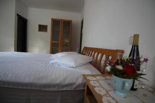 Vila Carpathia