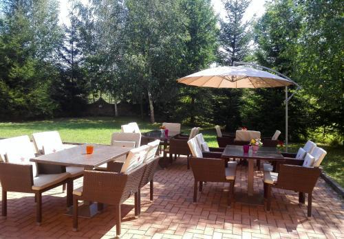 Vila Carpathia