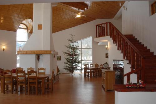 Vila Carpathia