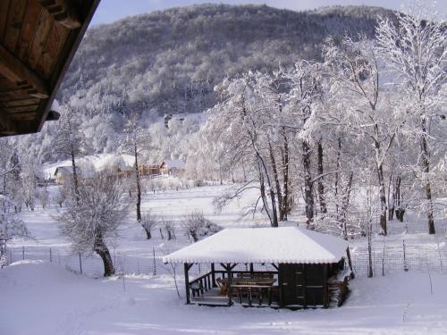 Vila Carpathia