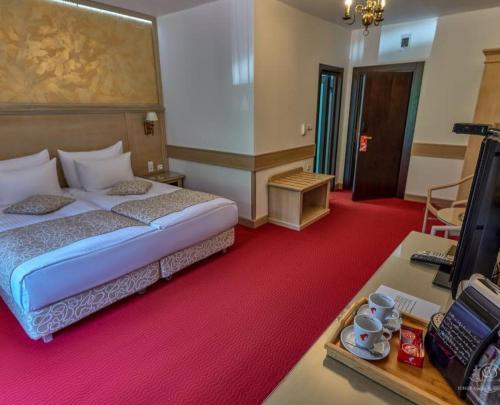 Hotel & Restaurant Lacu Rosu
