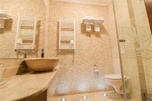 Hotel Astoria Oradea