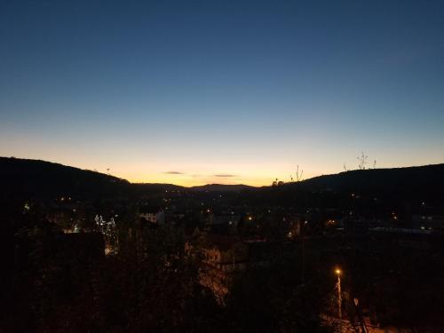 Pensiunea Lelila Inn