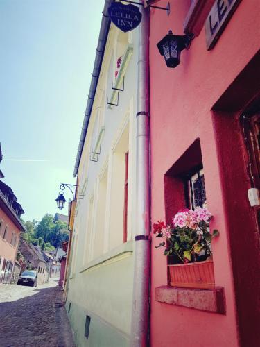 Pensiunea Lelila Inn