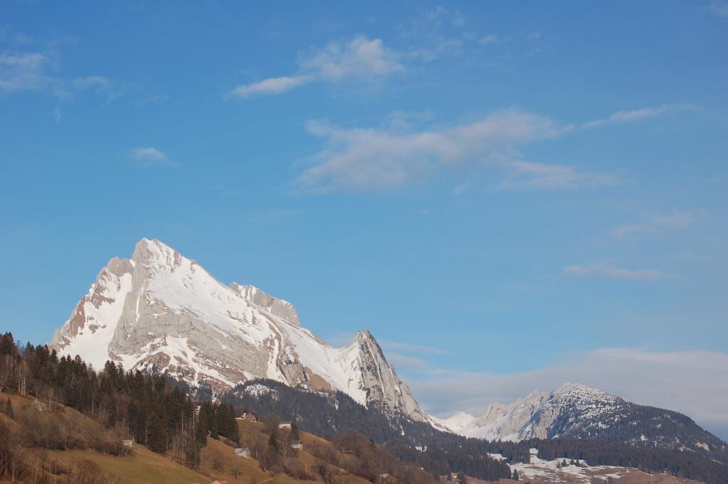 Gasthaus zum Schäfli