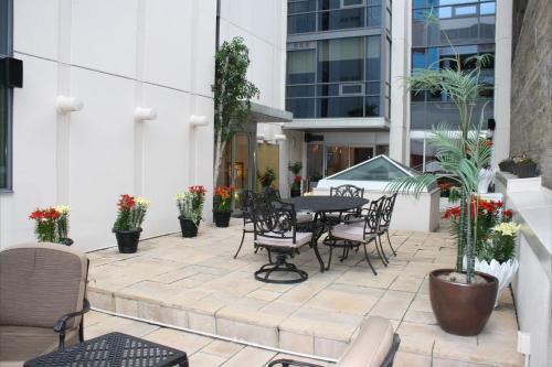 Yonge Suites