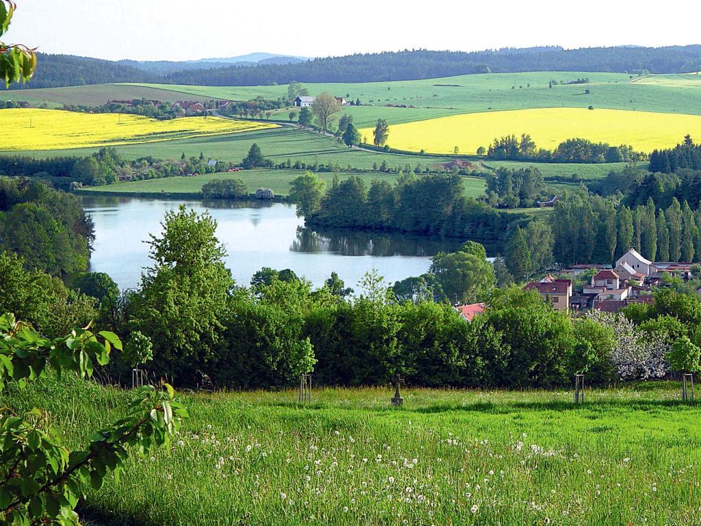 Penzion David