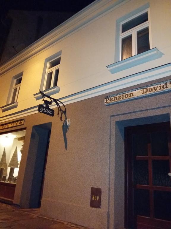 Penzion David