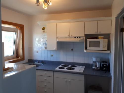 Hunters Mountain Chalets