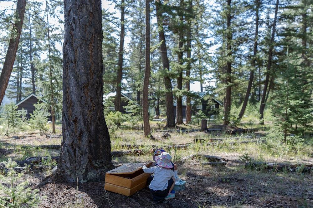 Pine Bungalows