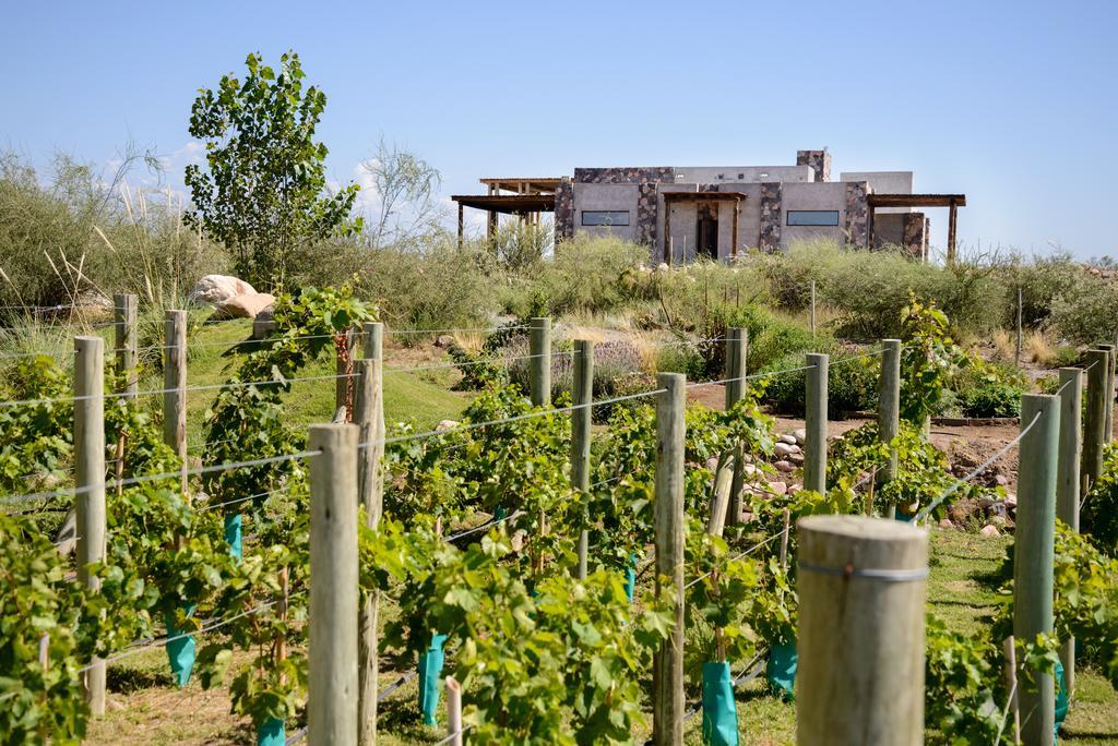 Casa de Huespedes Gimenez Riili