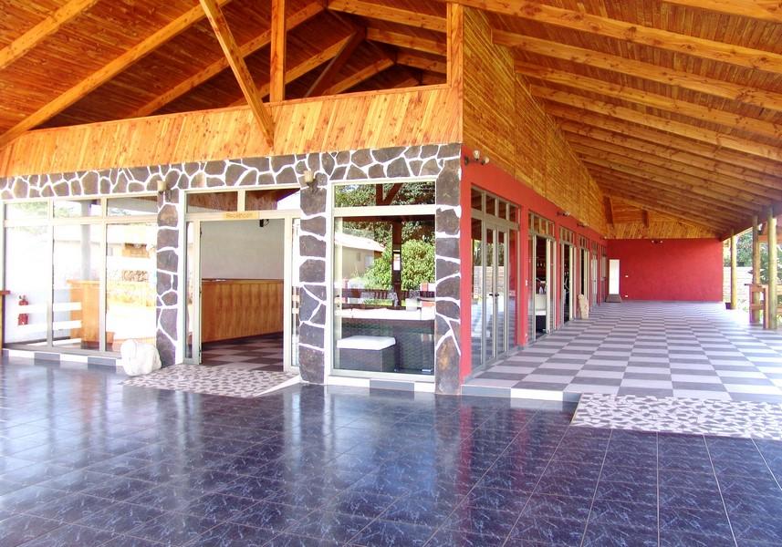 Puku Vai