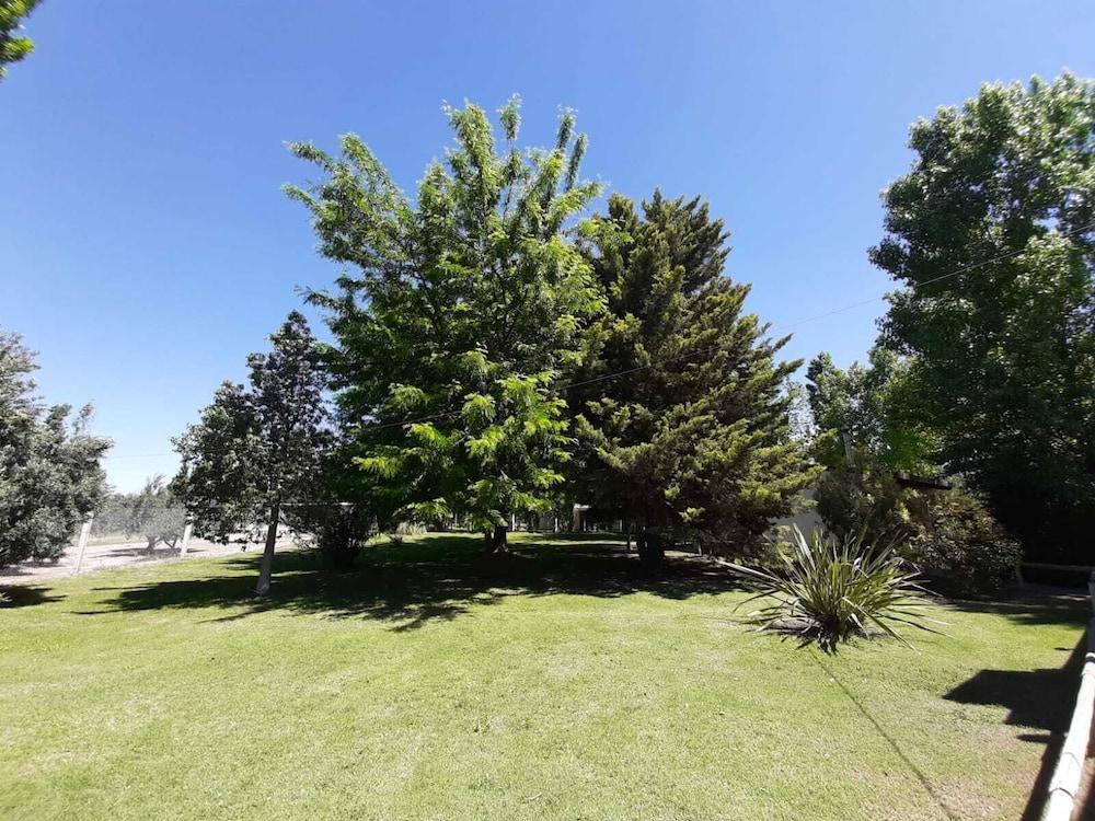 Olivos Del Sol
