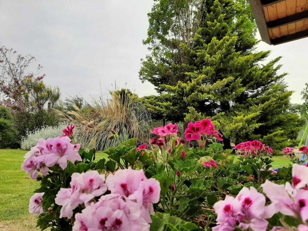Olivos Del Sol