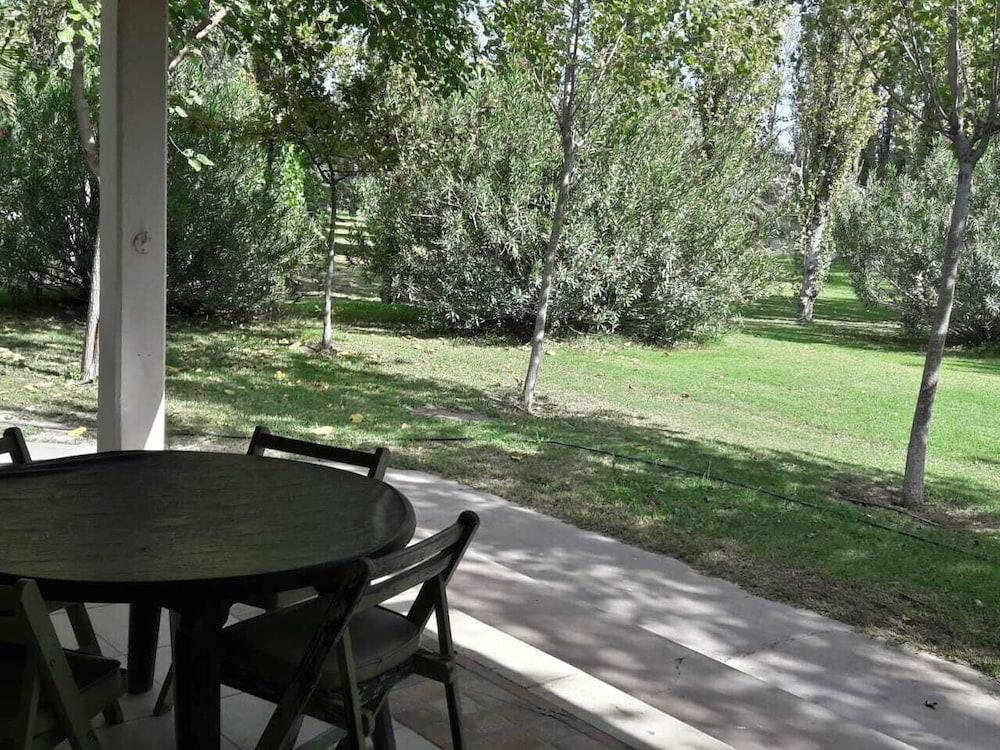 Olivos Del Sol