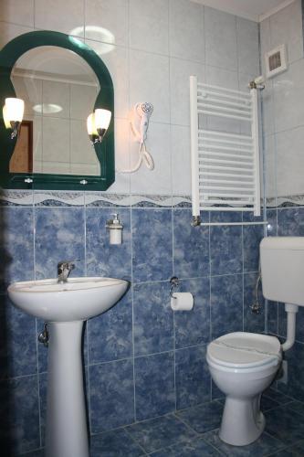 Pensiunea Ambiental