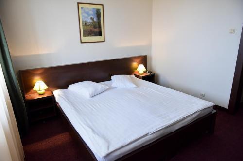 Hotel Panoramic