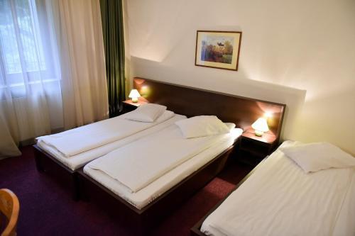 Hotel Panoramic