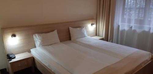 Hotel Panoramic