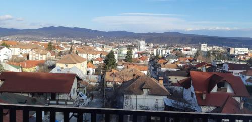 Hotel Panoramic