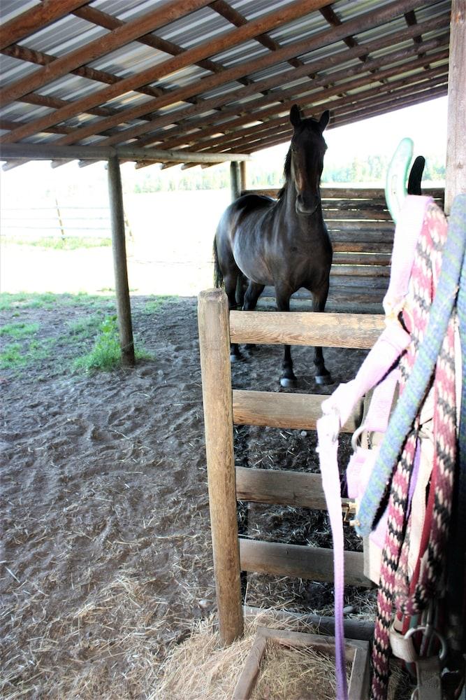 Woodhouse Cottages And Ranch