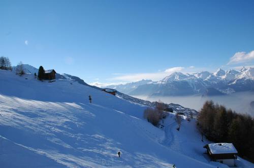 Chalet Ski Paradise