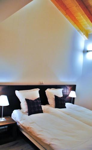Chalet Ski Paradise