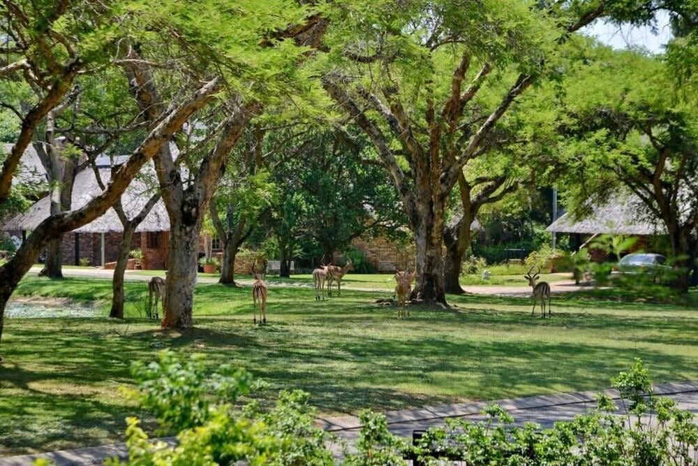 Cambalala - Kruger Park Lodge