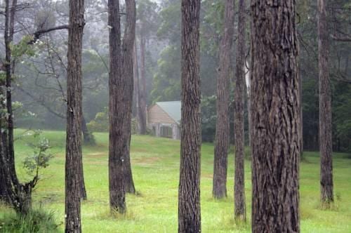 Ghost Hill Road Retreat