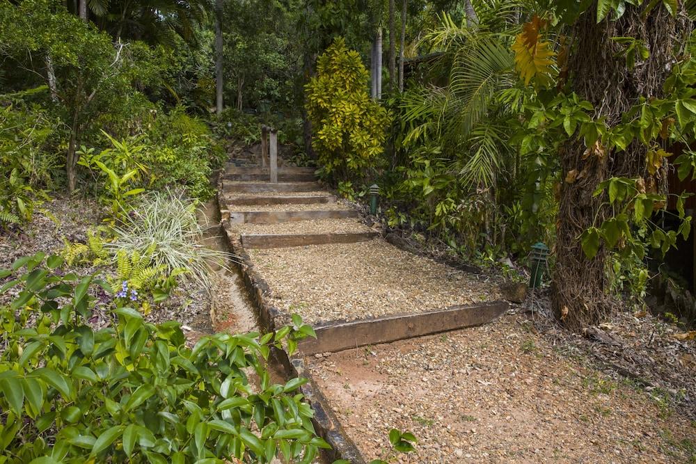 Milkwood Lodge Rainforest Retreat