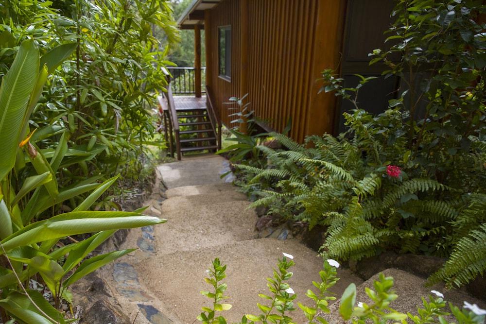 Milkwood Lodge Rainforest Retreat