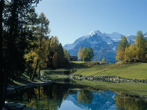 Chalet Soldanella
