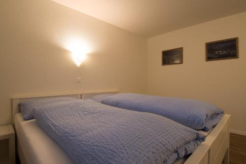 Chalet Soldanella