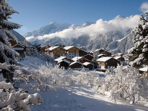 Chalet Soldanella