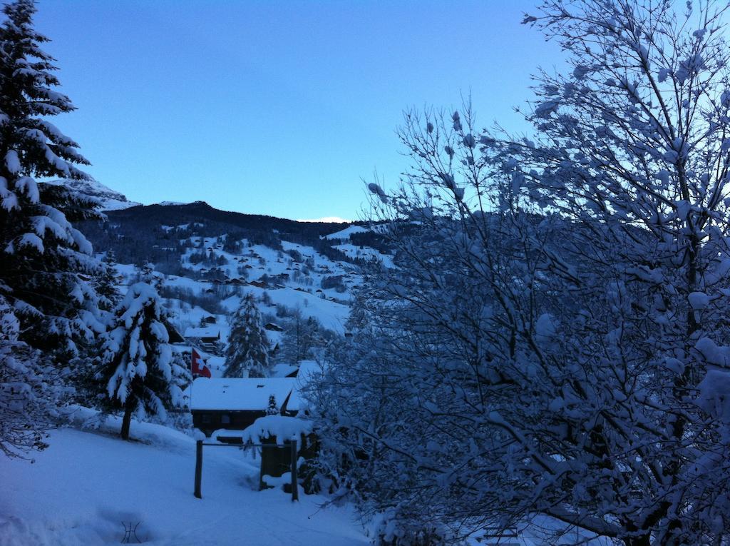 Chalet Wargistal