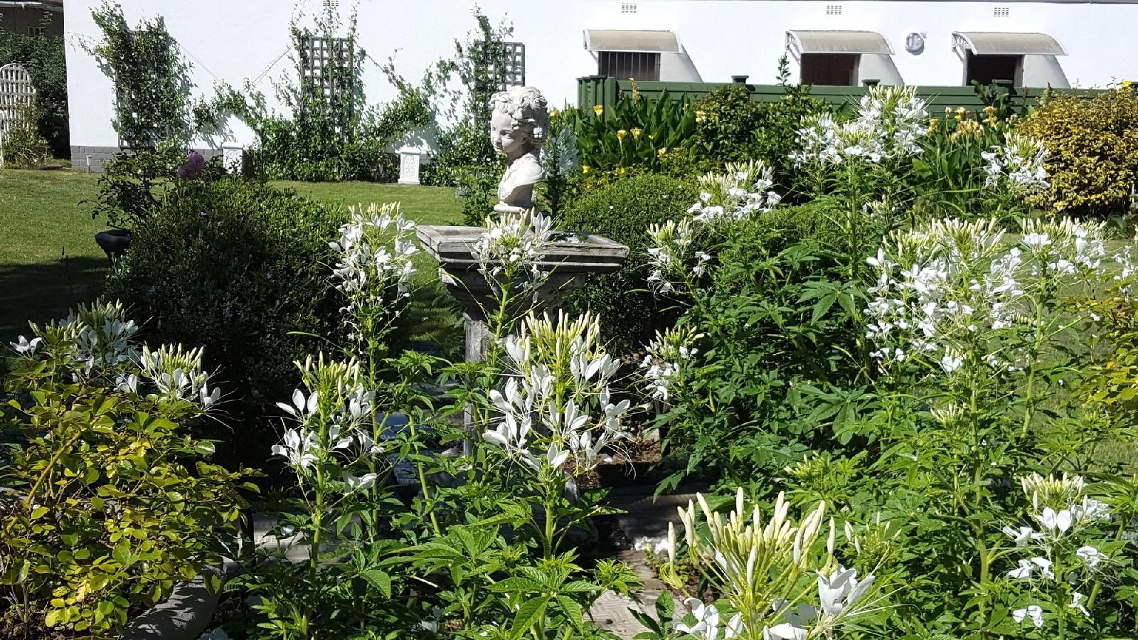 Chez Nouz Bed & Breakfast