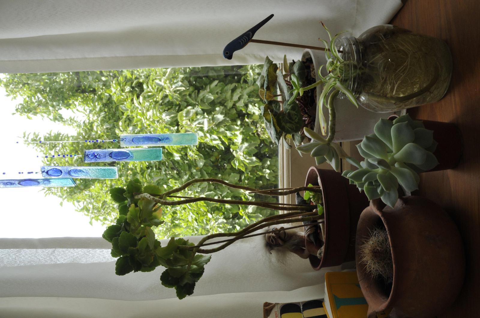 Antiguo Solar Bed & Breakfast