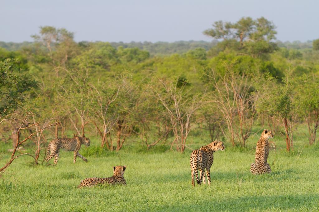 Buffelshoek Camp