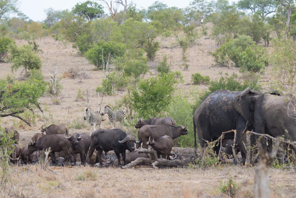 Buffelshoek Camp