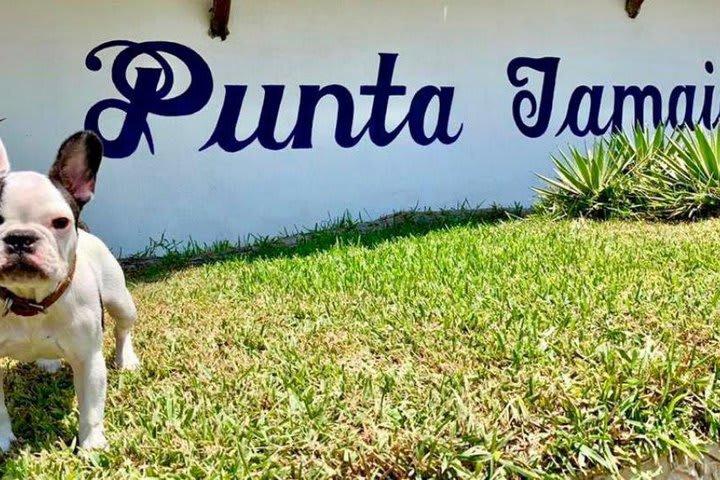 Hotel Boutique Punta Jamaica