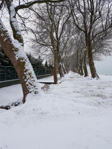 Saba Haz Vendeghaz