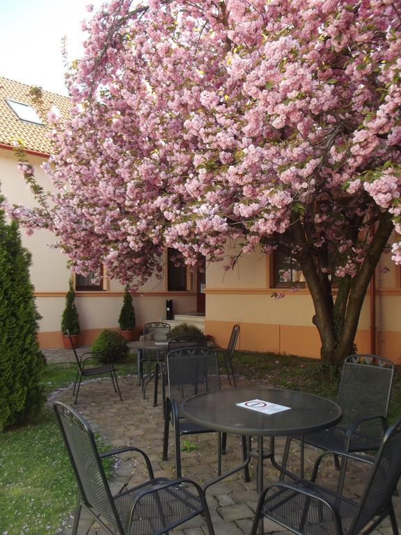 Pannon Hotel