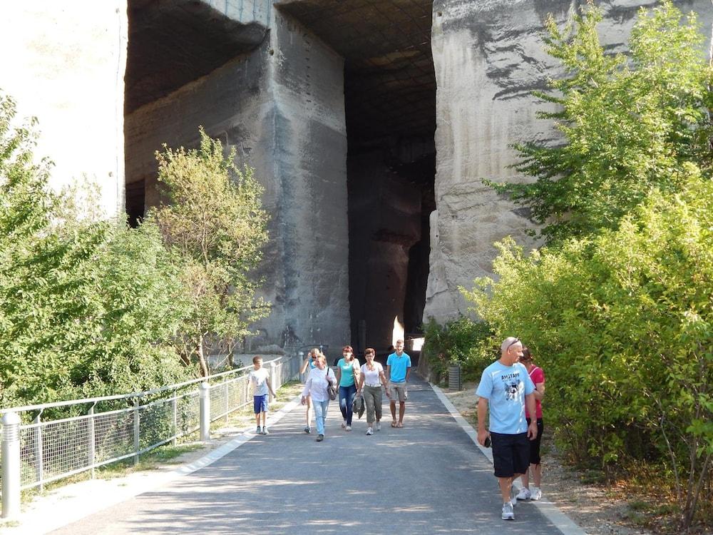 Vadászkurt