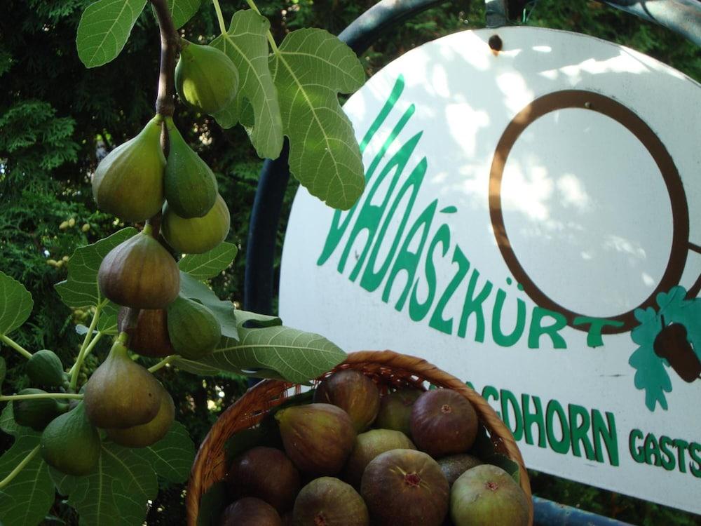 Vadászkurt