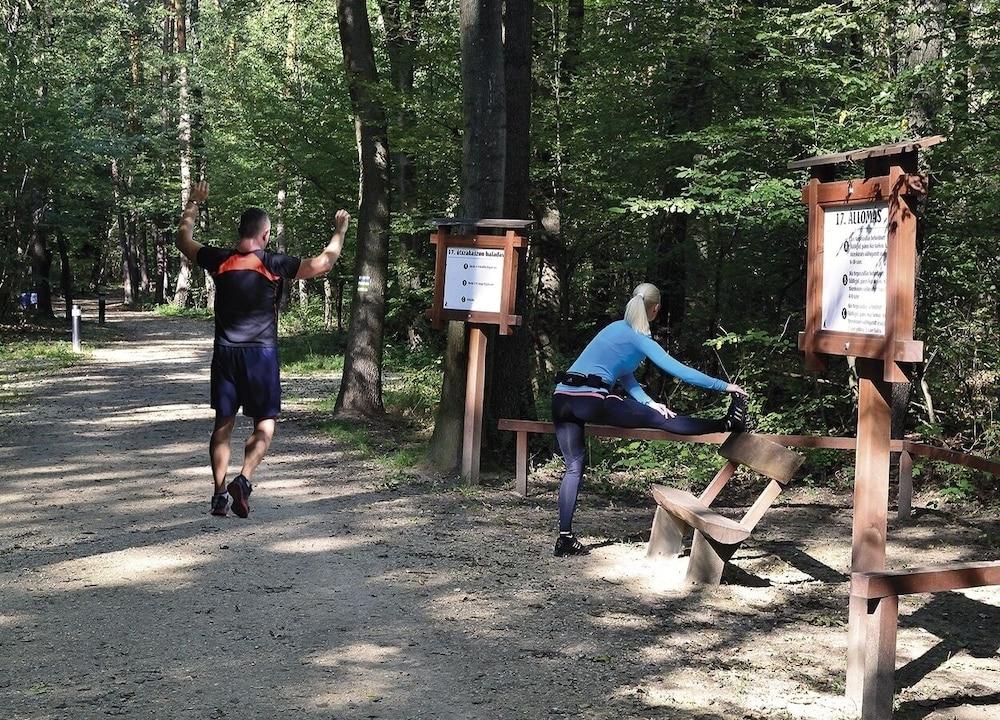 Vadászkurt